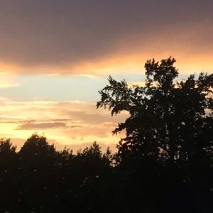 Meet your Posher, Ava